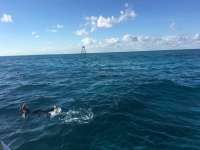 Great day of scuba diving in Key Largo with Rainbow Reef on molasses reef tropical odyssey 2016 11 13 r3502 1