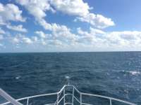 Great day of scuba diving in Key Largo with Rainbow Reef on north star tropical legend 2016 11 01 r3454 1