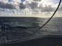 Great day of scuba diving in Key Largo with Rainbow Reef on spiegel grove tropical odyssey 2016 11 01 r3452 1