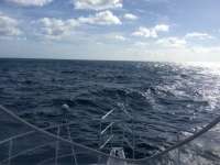Great day of scuba diving in Key Largo with Rainbow Reef on spiegel grove tropical odyssey 2016 11 03 r3456 1