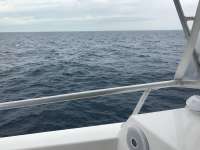 Great day of scuba diving in Key Largo with Rainbow Reef on spiegel grove tropical odyssey 2016 11 15 r3507 1