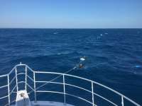 Great day of scuba diving in Key Largo with Rainbow Reef on spiegel grove tropical odyssey 2016 11 20 r3527 1