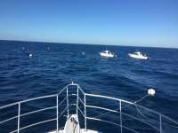 Great day of scuba diving in Key Largo with Rainbow Reef on spiegel grove tropical odyssey 2016 11 21 r3530 1