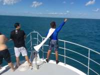 Great day of scuba diving in Key Largo with Rainbow Reef on uscgc duane tropical odyssey 2016 11 23 r3539 2