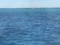 Great day of scuba diving in Key Largo with Rainbow Reef on winch hole tropical legend 2016 11 21 r3531 1