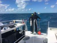 Great day of scuba diving in Key Largo with Rainbow Reef on winch hole tropical legend 2016 11 23 r3538 1