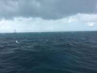 Great day of scuba diving in Key Largo with Rainbow Reef on winch hole tropical legend 2016 11 24 r3542 1