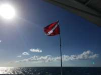 Great day of scuba diving in Key Largo with Rainbow Reef on conch wall tropical odyssey 2016 10 19 r3426 1