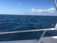 Great day of scuba diving in Key Largo with Rainbow Reef on eagle ray alley tropical legend 2016 10 14 r3407 1