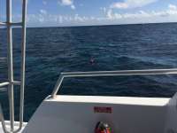 Great day of scuba diving in Key Largo with Rainbow Reef on fire coral cave tropical odyssey 2016 10 03 r3383 1