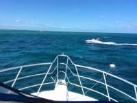Great day of scuba diving in Key Largo with Rainbow Reef on molasses reef tropical adventure 2016 10 09 r3399 1