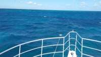 Great day of scuba diving in Key Largo with Rainbow Reef on snapper ledge tropical legend 2016 10 23 r3442 1