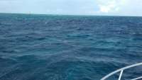 Great day of scuba diving in Key Largo with Rainbow Reef on spanish anchor tropical adventure 2016 10 16 r3420 1