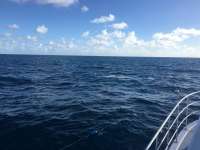 Great day of scuba diving in Key Largo with Rainbow Reef on spiegel grove tropical odyssey 2016 10 18 r3422 1