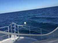 Great day of scuba diving in Key Largo with Rainbow Reef on spiegel grove tropical odyssey 2016 10 21 r3430 1