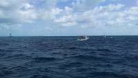 Great day of scuba diving in Key Largo with Rainbow Reef on uscgc duane tropical odyssey 2016 10 14 r3408 1