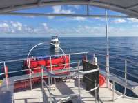 Great day of scuba diving in Key Largo with Rainbow Reef on benwood wreck tropical legend 2016 09 18 r3304 1