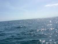 Great day of scuba diving in Key Largo with Rainbow Reef on christ statue tropical explorer 2016 09 02 r3219 1