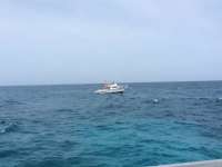 Great day of scuba diving in Key Largo with Rainbow Reef on eagle ray alley tropical odyssey 2016 09 01 r3212 1
