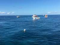 Great day of scuba diving in Key Largo with Rainbow Reef on molasses reef tropical adventure 2016 09 17 r3296 1