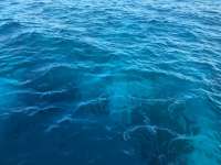 Great day of scuba diving in Key Largo with Rainbow Reef on molasses reef tropical legend 2016 09 07 r3243 1