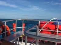 Great day of scuba diving in Key Largo with Rainbow Reef on molasses reef tropical legend 2016 09 10 r3260 1