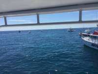 Great day of scuba diving in Key Largo with Rainbow Reef on molasses reef tropical legend 2016 09 17 r3301 1