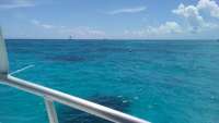 Great day of scuba diving in Key Largo with Rainbow Reef on molasses reef tropical odyssey 2016 09 11 r3270 1