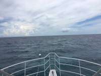 Great day of scuba diving in Key Largo with Rainbow Reef on molasses reef tropical odyssey 2016 09 13 r3279 1