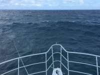 Great day of scuba diving in Key Largo with Rainbow Reef on spanish anchor tropical legend 2016 09 09 r3259 1