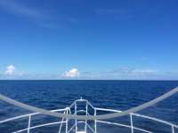 Great day of scuba diving in Key Largo with Rainbow Reef on spanish anchor tropical legend 2016 09 21 r3325 1