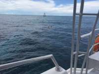 Great day of scuba diving in Key Largo with Rainbow Reef on winch hole tropical odyssey 2016 09 26 r3352 1