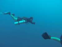 Great day of scuba diving in Key Largo with Rainbow Reef on conch wall tropical explorer 2017 04 05 r4074 1