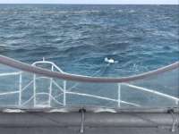 Great day of scuba diving in Key Largo with Rainbow Reef on eagle ray alley tropical odyssey 2017 04 11 r4100 1