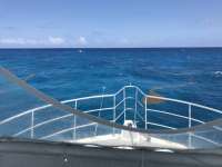 Great day of scuba diving in Key Largo with Rainbow Reef on french reef tropical odyssey 2017 04 28 r4152 1