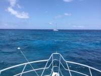 Great day of scuba diving in Key Largo with Rainbow Reef on molasses reef tropical adventure 2017 04 28 r4150 1