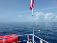 Great day of scuba diving in Key Largo with Rainbow Reef on spiegel grove tropical odyssey 2017 04 01 r4052 1