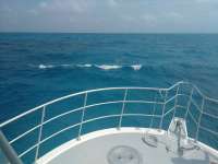 Great day of scuba diving in Key Largo with Rainbow Reef on spiegel grove tropical odyssey 2017 04 12 r4102 1