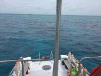 Great day of scuba diving in Key Largo with Rainbow Reef on christmastree cave tropical voyager 2017 08 27 r4694 1