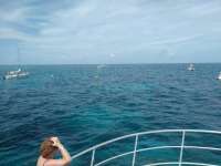 Great day of scuba diving in Key Largo with Rainbow Reef on hole in the wall tropical odyssey 2017 08 17 r4651 1