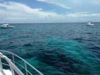 Great day of scuba diving in Key Largo with Rainbow Reef on molasses reef tropical odyssey 2017 08 19 r4667 1