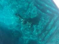 Great day of scuba diving in Key Largo with Rainbow Reef on north dry rocks tropical adventure 2017 08 11 r4620 1