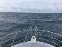 Great day of scuba diving in Key Largo with Rainbow Reef on pickles reef tropical adventure 2017 08 25 r4686 1