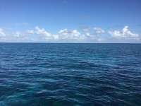 Great day of scuba diving in Key Largo with Rainbow Reef on sand island tropical legend 2017 08 30 r4704 1