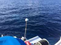 Great day of scuba diving in Key Largo with Rainbow Reef on spiegel grove tropical adventure 2017 08 29 r4701 1