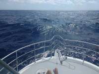 Great day of scuba diving in Key Largo with Rainbow Reef on uscgc duane tropical odyssey 2017 08 07 r4592 1