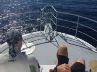 Great day of scuba diving in Key Largo with Rainbow Reef on uscgc duane tropical odyssey 2017 08 30 r4706 1