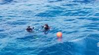 Great day of scuba diving in Key Largo with Rainbow Reef on benwood wreck tropical adventure 2017 12 18 r5142 1