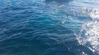 Great day of scuba diving in Key Largo with Rainbow Reef on christ statue tropical odyssey 2017 12 03 r5075 1