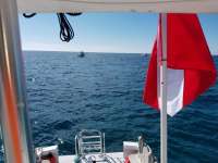 Great day of scuba diving in Key Largo with Rainbow Reef on drift french tropical voyager 2017 12 31 r5230 1